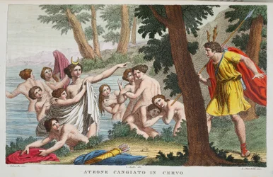Actaeon in een Hert Veranderd, Illustratie uit Ovidius